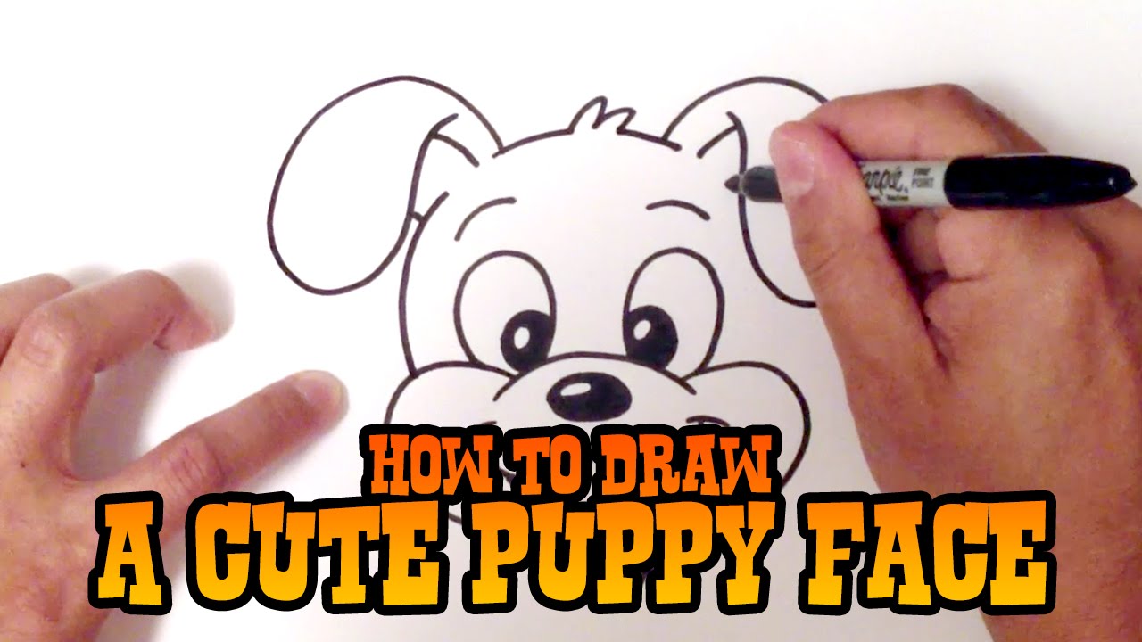 How to Draw a Cartoon Puppy Face