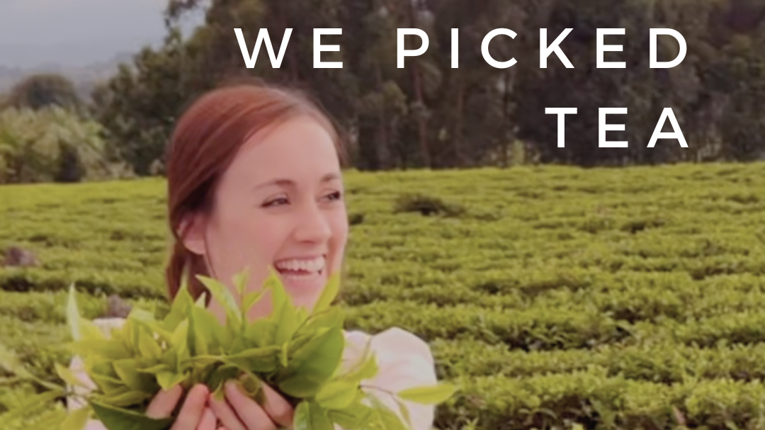Uganda Ep 4: We picked tea