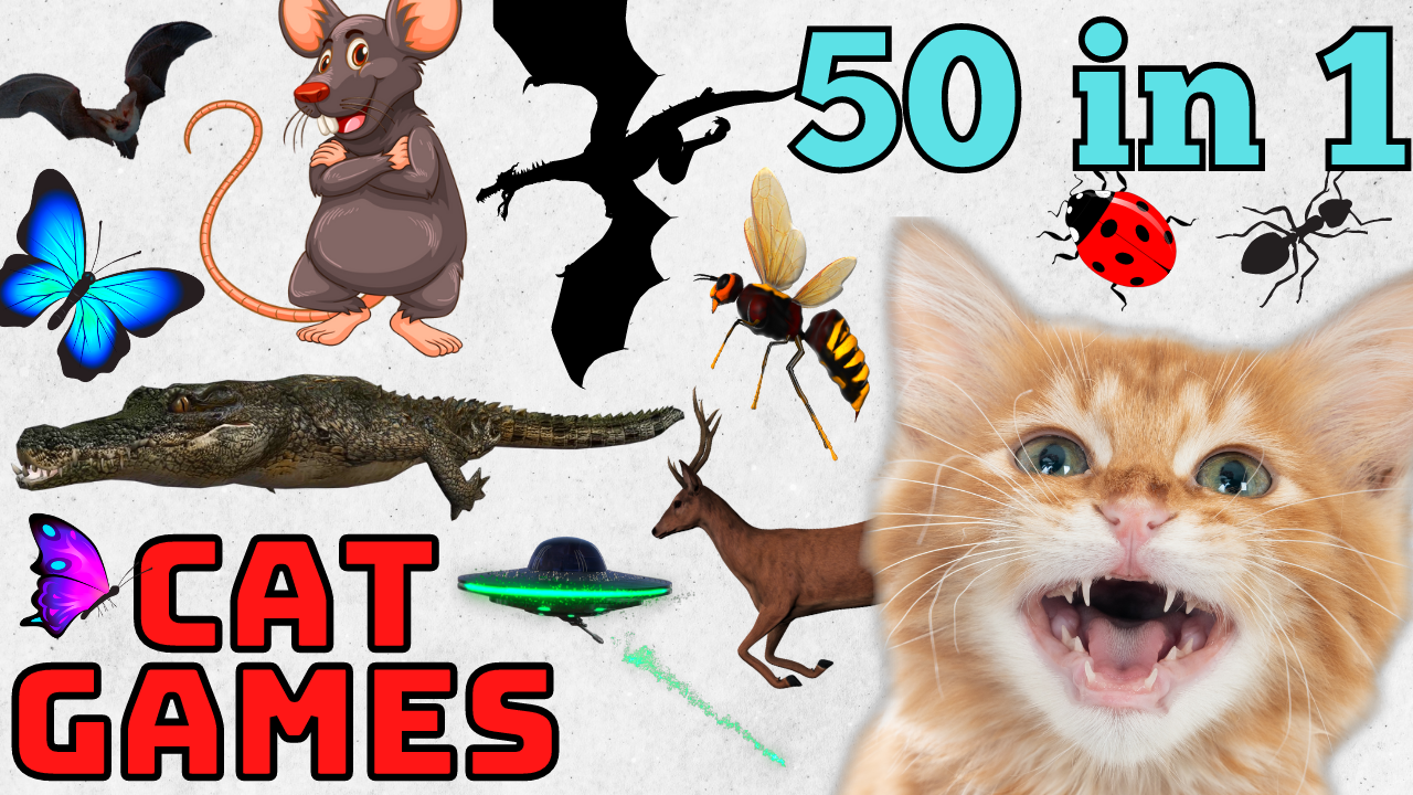 50 in 1 - Rats, Bugs, Birds, Mice, Bats & More 