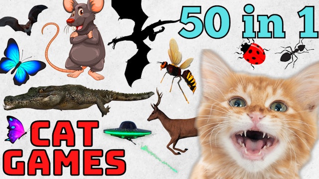 50 in 1 - Rats, Bugs, Birds, Mice, Bats & More 