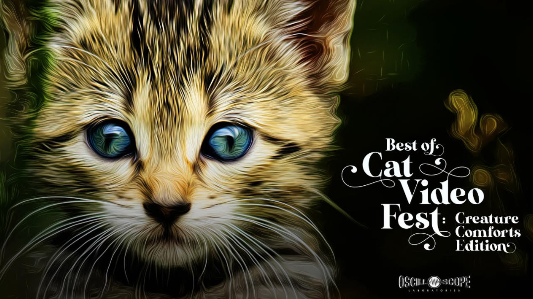 Colony Cats Presents Best of CatVideoFest