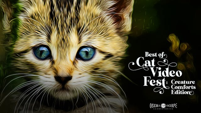 Visulite Cinema Presents The Best Of CatVideoFest