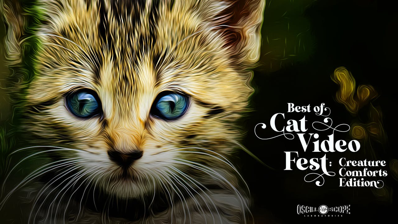 Rangos Giant Cinema Presents Best Of CatVideoFest!