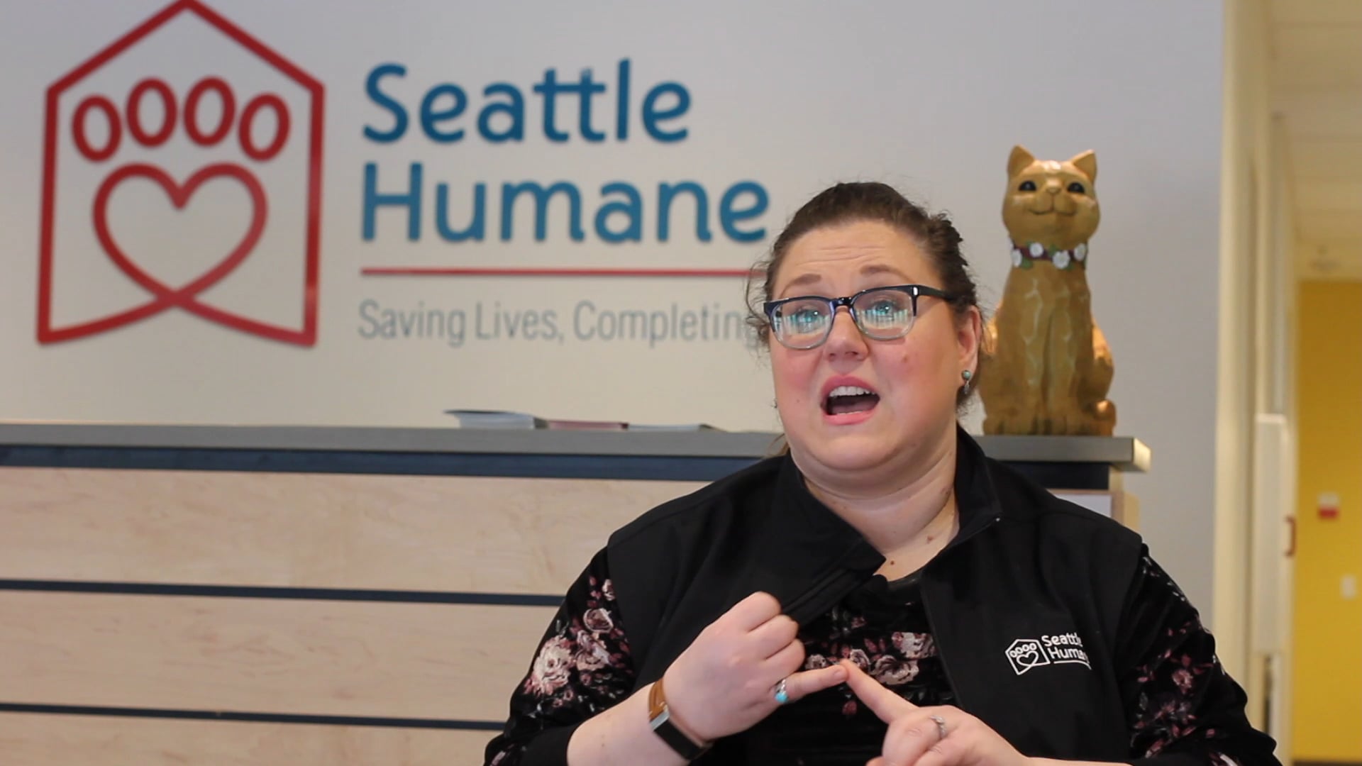 CVF Creature Comforts Edition