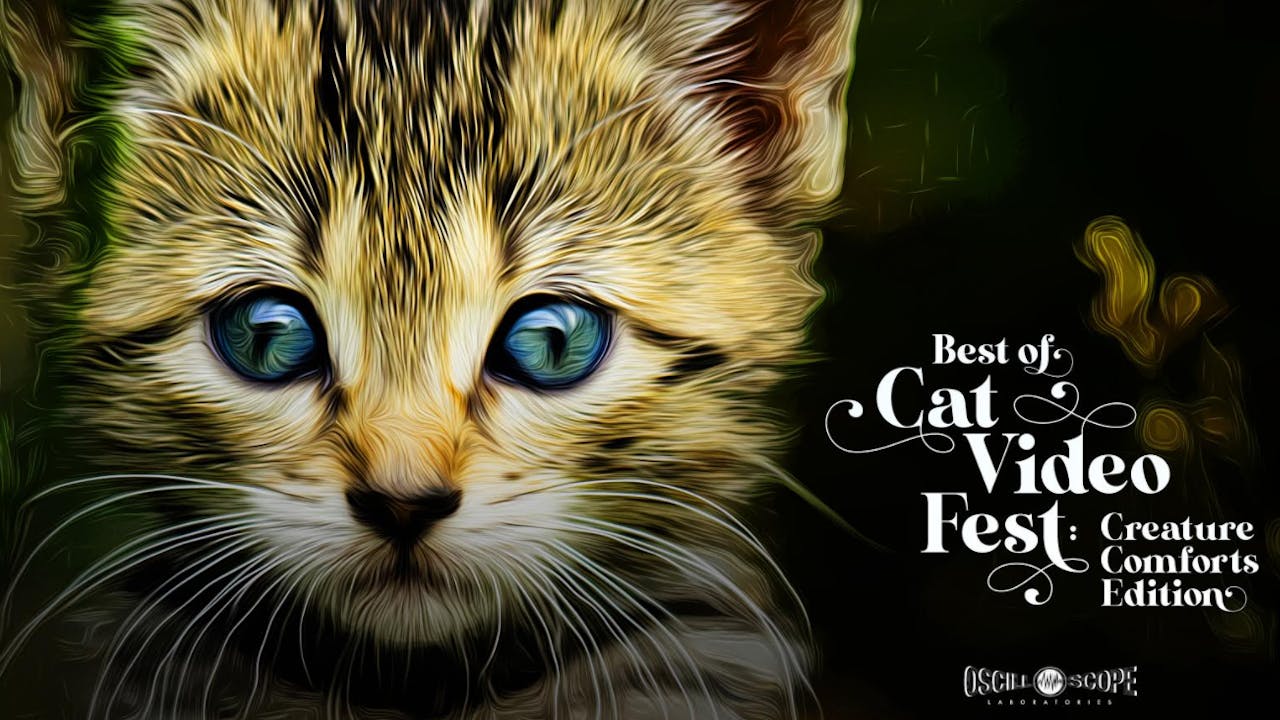 The O Cinema Presents Best of CatVideoFest