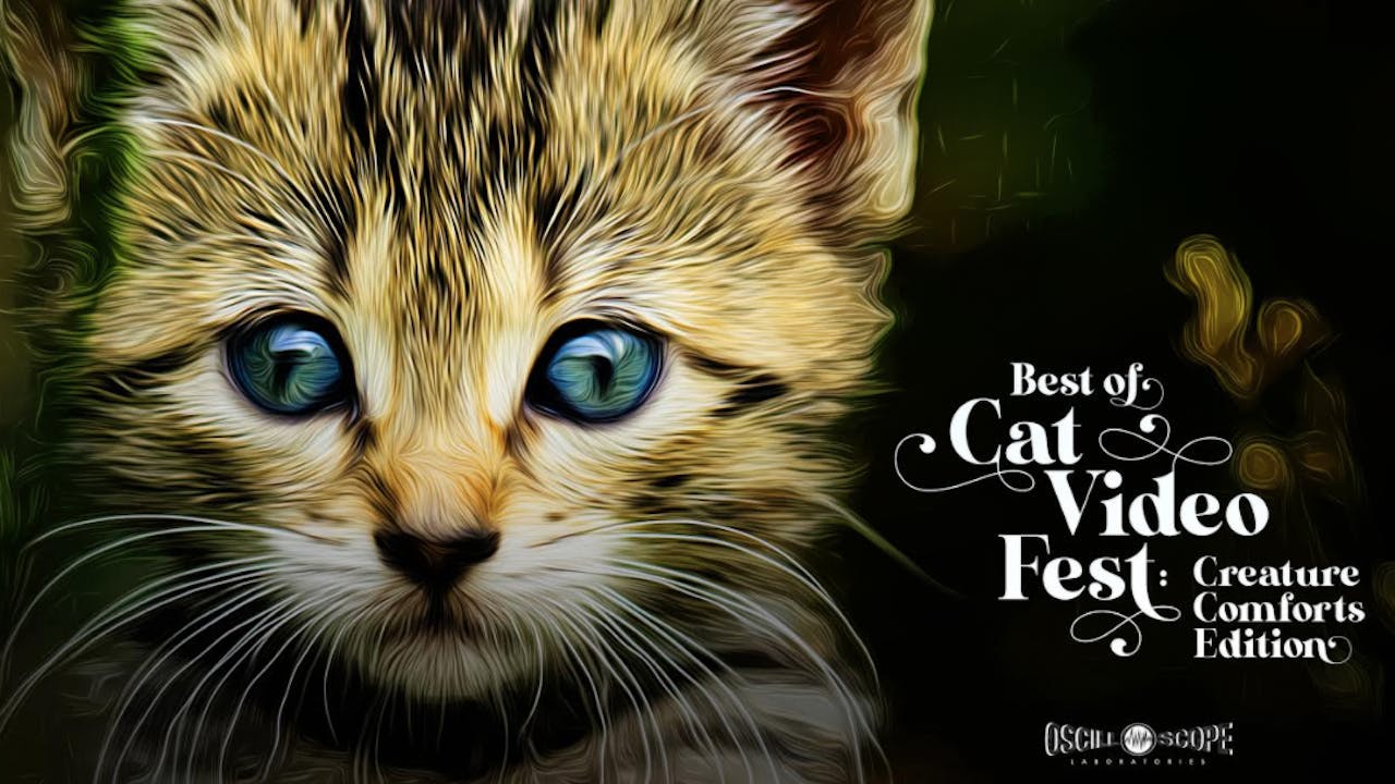 The Byrd Theatre Presents Best of CatVideoFest