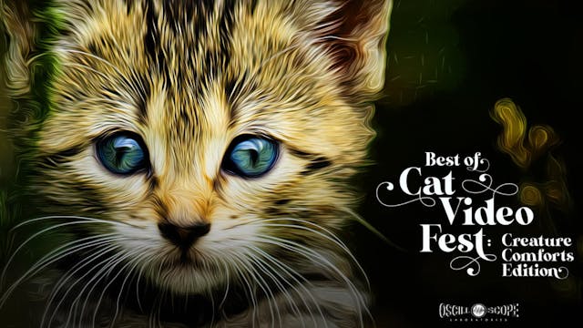 The Utah Film Center Presents Best of CatVideoFest