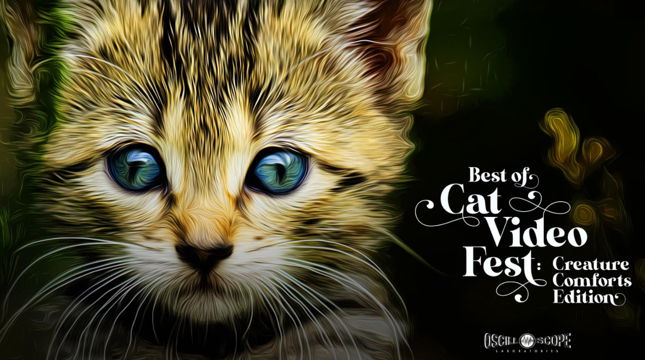 Arena Theater Presents Best of CatVideoFest