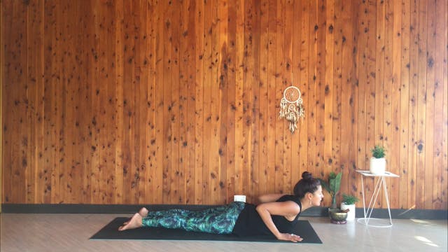 25 minute Mixed Vinyasa Flow- Level 1