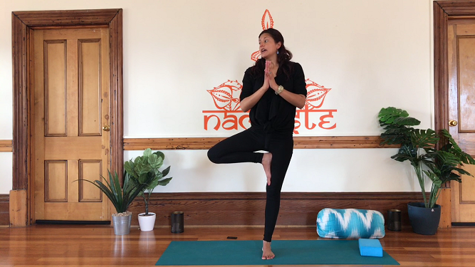 60 minute Balancing Vinyasa Flow Class- Level 2
