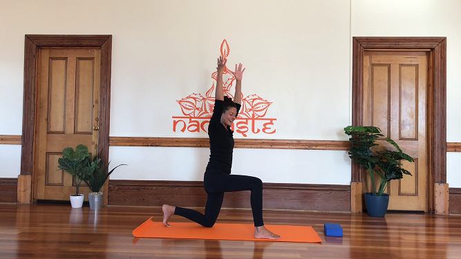 30 minute Beginner's Basic Vinyasa- Level 0-1