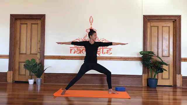 30 minute Beginner's Basic Vinyasa- L...