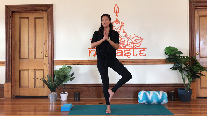 30 minute Beginner's Basic Vinyasa- Level 0-1