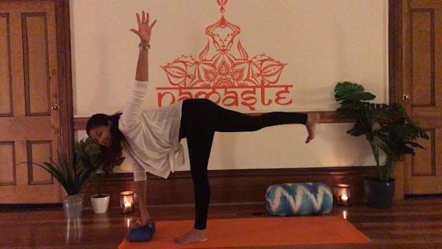 60 minute Mixed Vinyasa Flow- Level 2