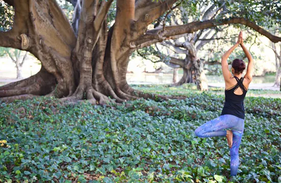 10 minute Mantra Meditation 'Lila Hum'