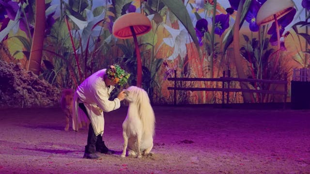 Showtrailer - CAVALLUNA Kids "Eine Sh...