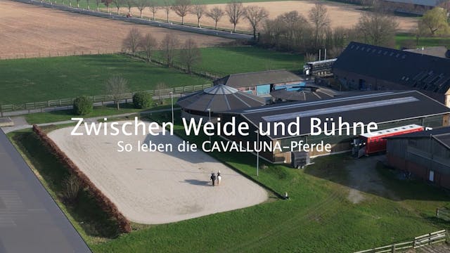 Zwischen Weide und Bühne