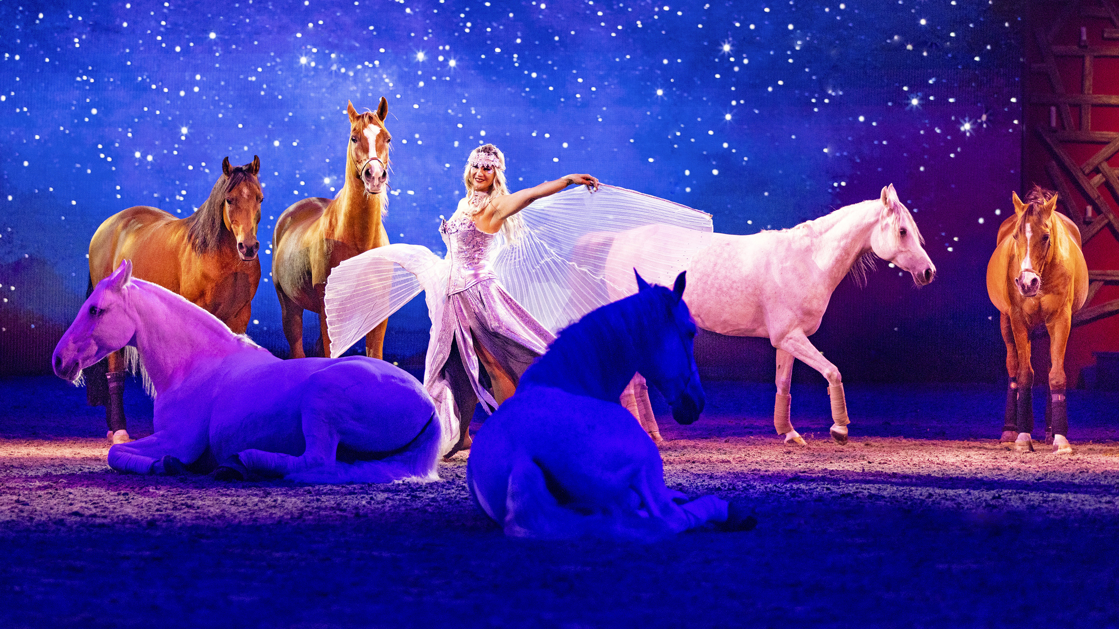 Freiheitsdressur (Sylvie Willms) | Shownummernportrait