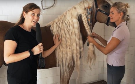 Mit der Fanreporterin unterwegs