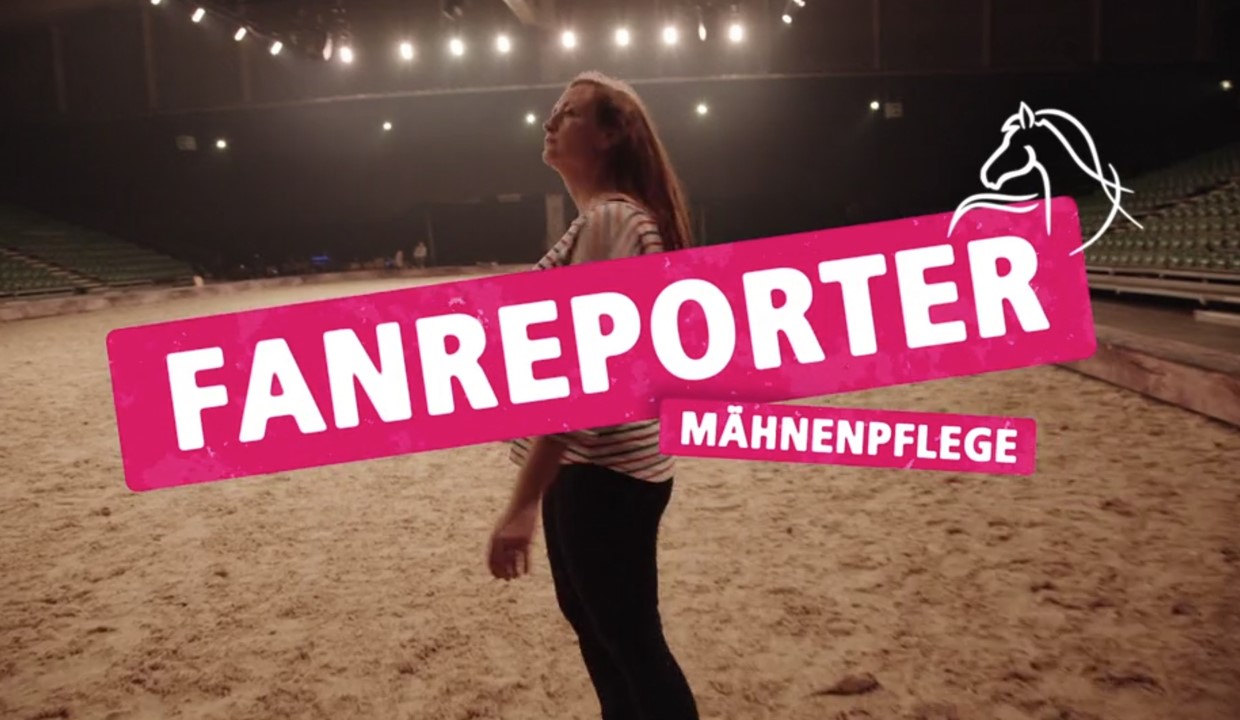 "Mähnenpflege mit Linda in Tulln" - Unterwegs mit der Fanreporterin