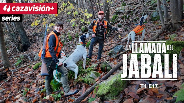 La llamada del jabalí 17