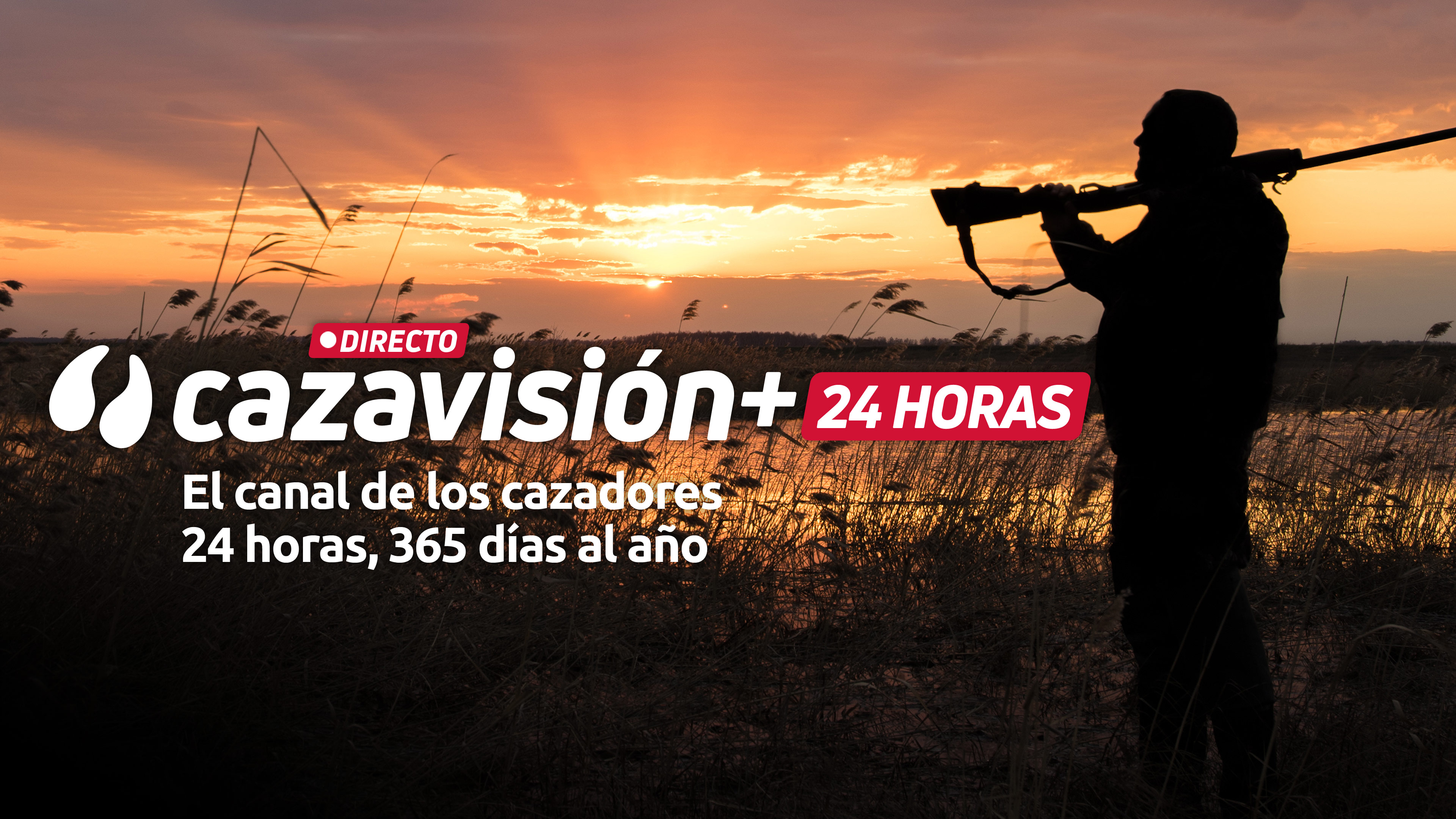 Cazavisión 24/7 Español