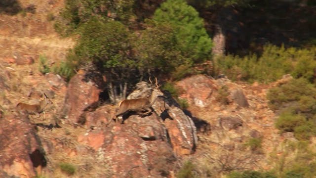 Monteando la mancha de las Erillas