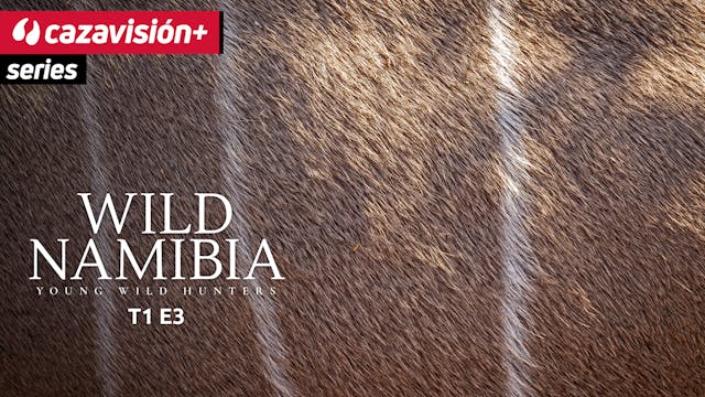 A la caza del fantasma gris