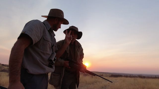 Safari en Namibia