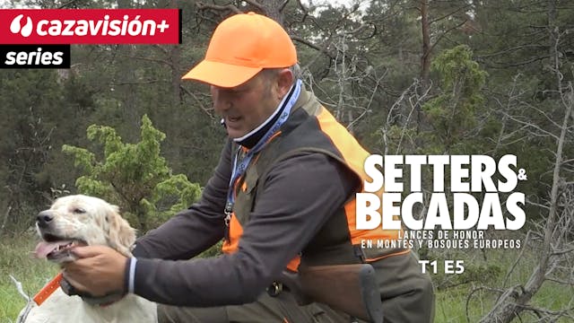 Becaderos por vocación