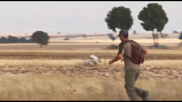 Enseñanza con codornices de granja