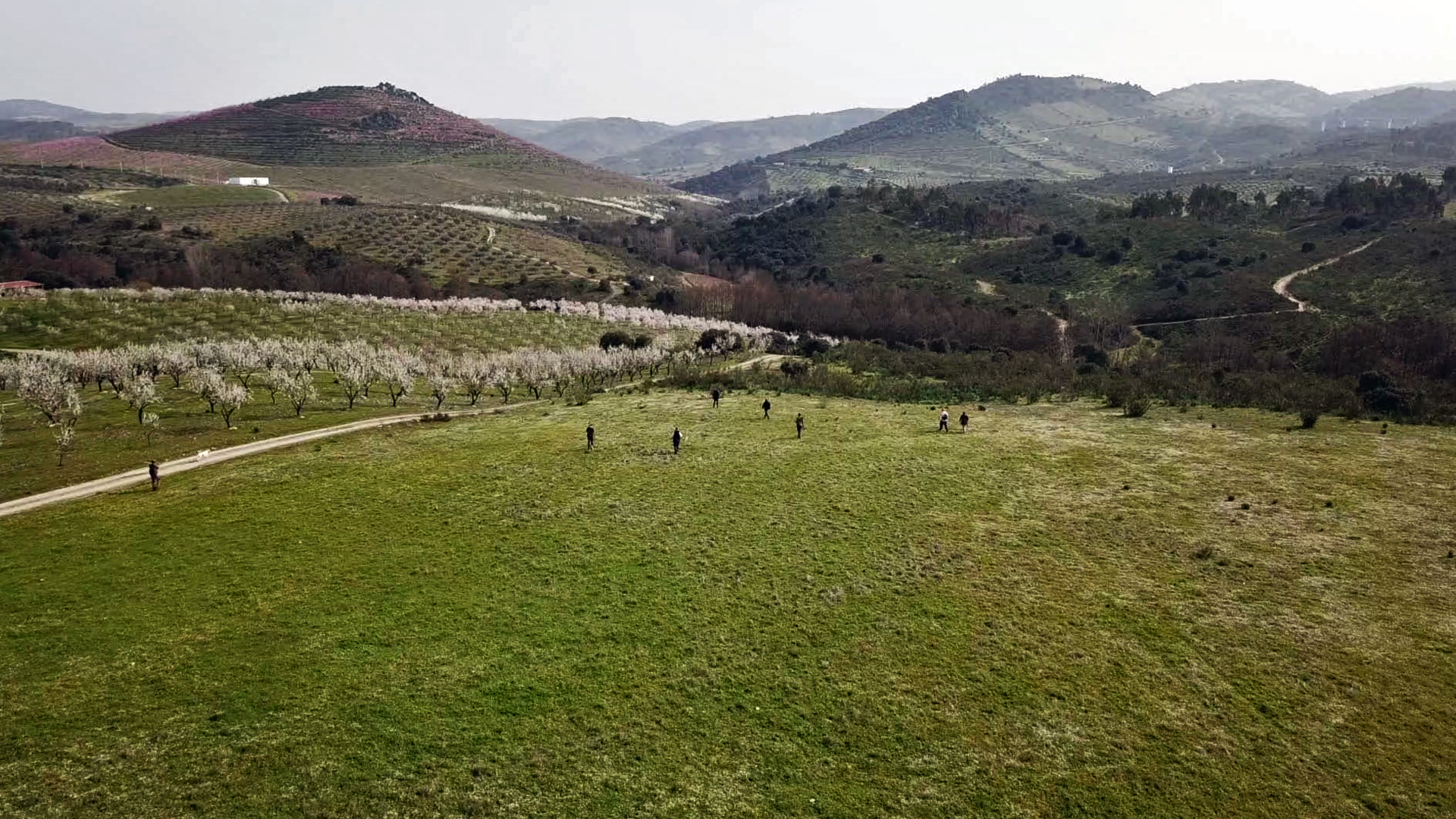 Perdices tras os Calhaus