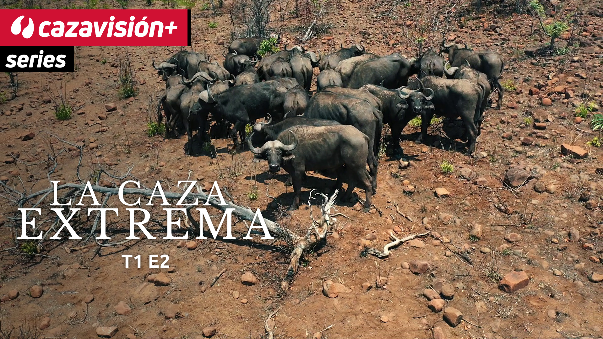 Desde dentro del continente africano