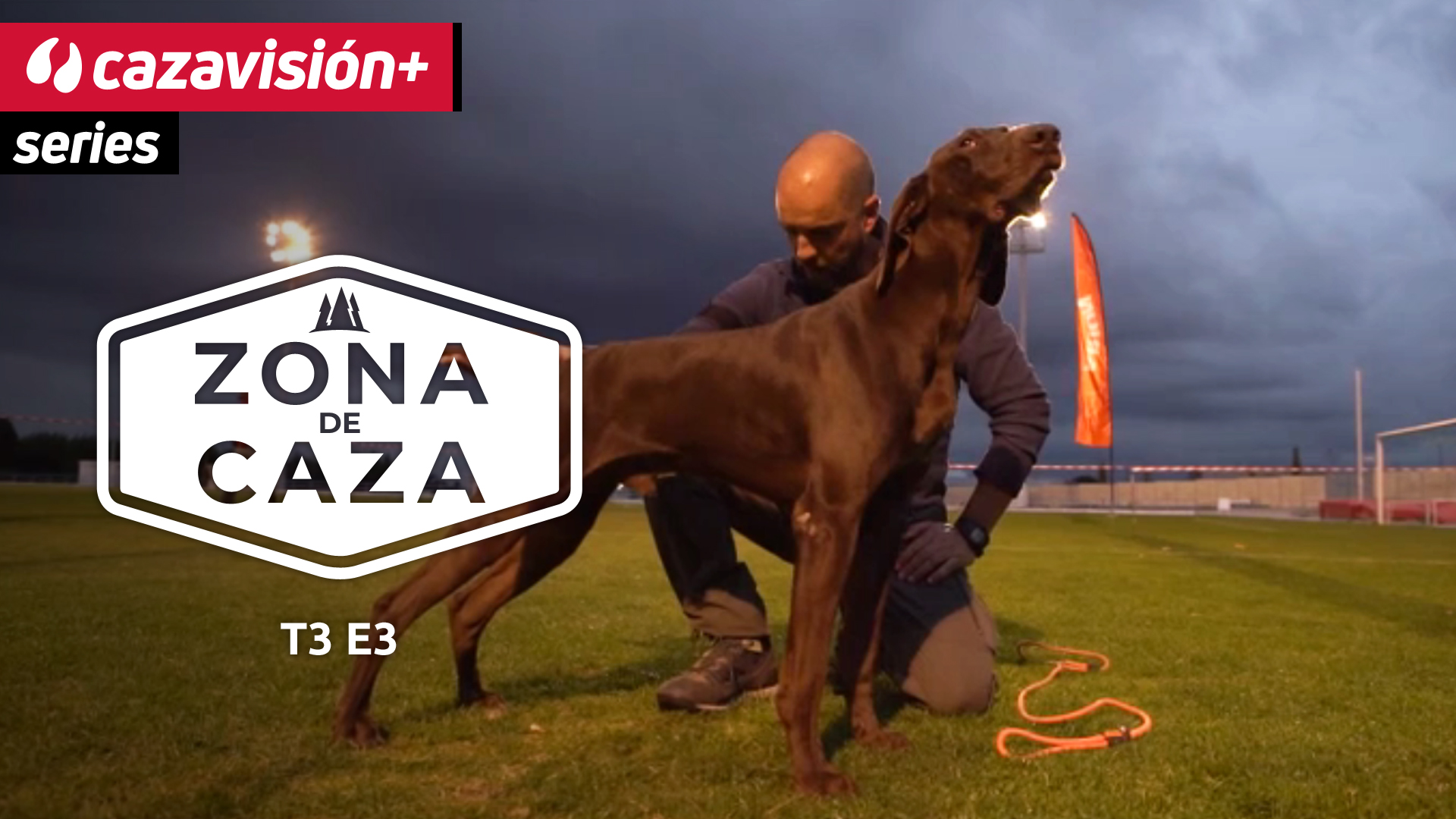 Aptitudes naturales de un futuro perro de caza