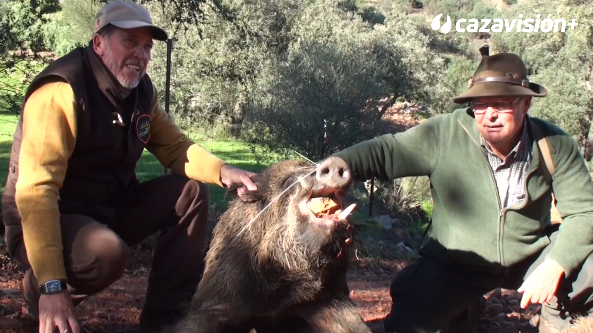 Montería en Valdeobispo