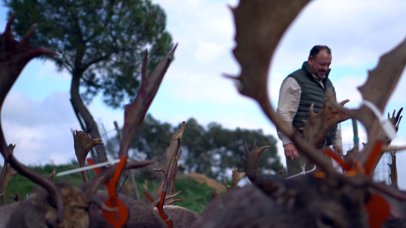 Tras los Gamos del Alqueva