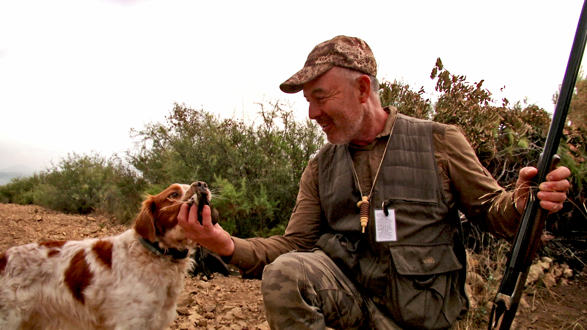 Entrada de zorzal por el golfo de Valencia