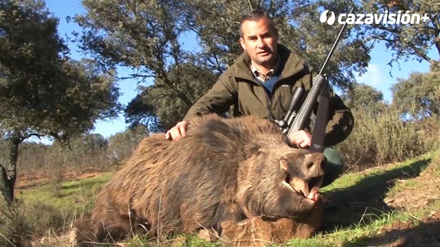 Montería en Barranco del Membrillo