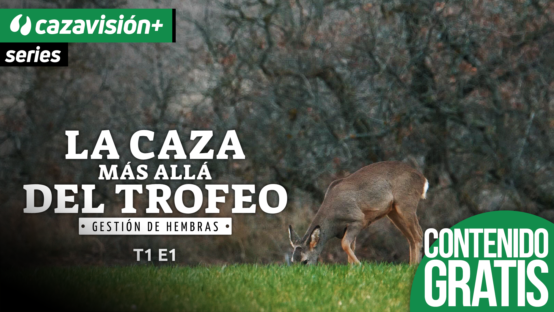 El saber no ocupa lugar