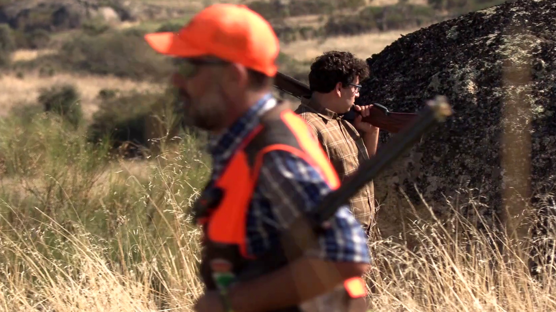 A perdices con bretones