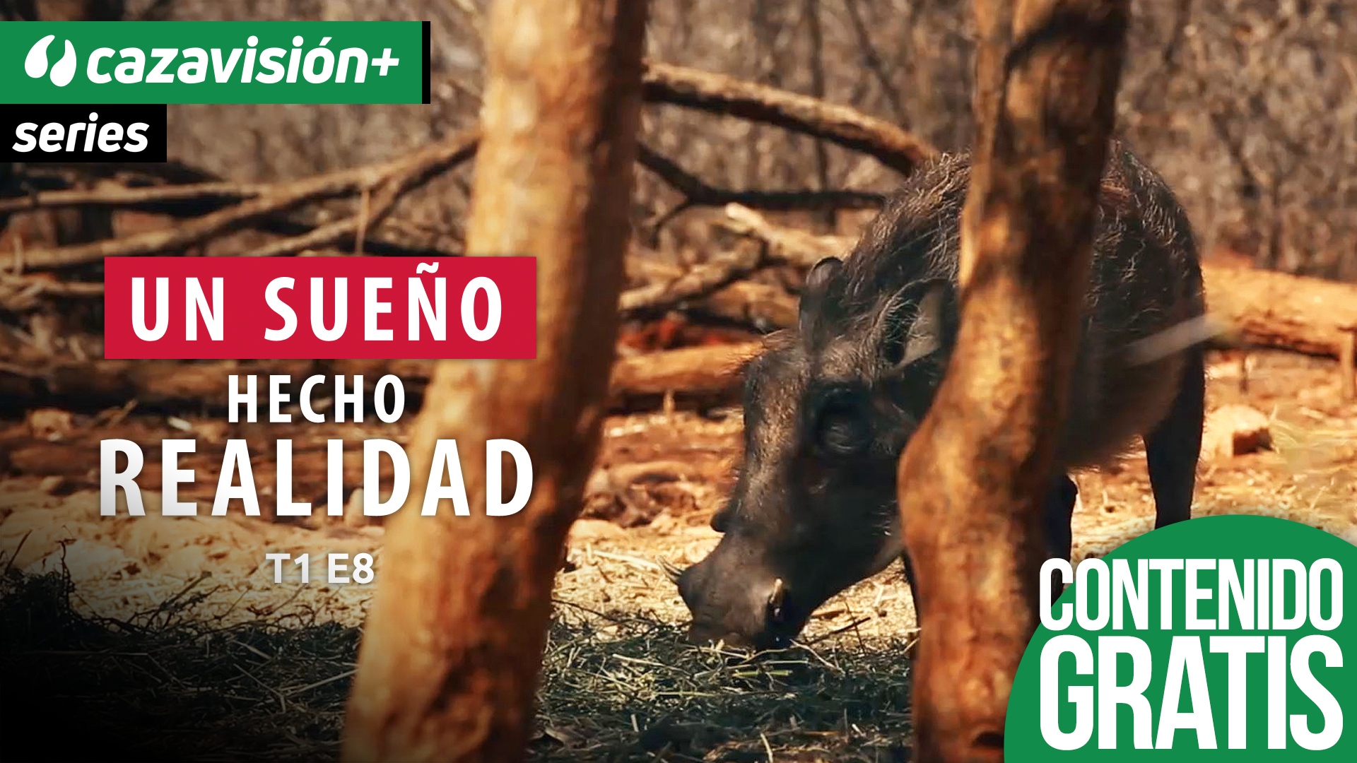 África desde dentro