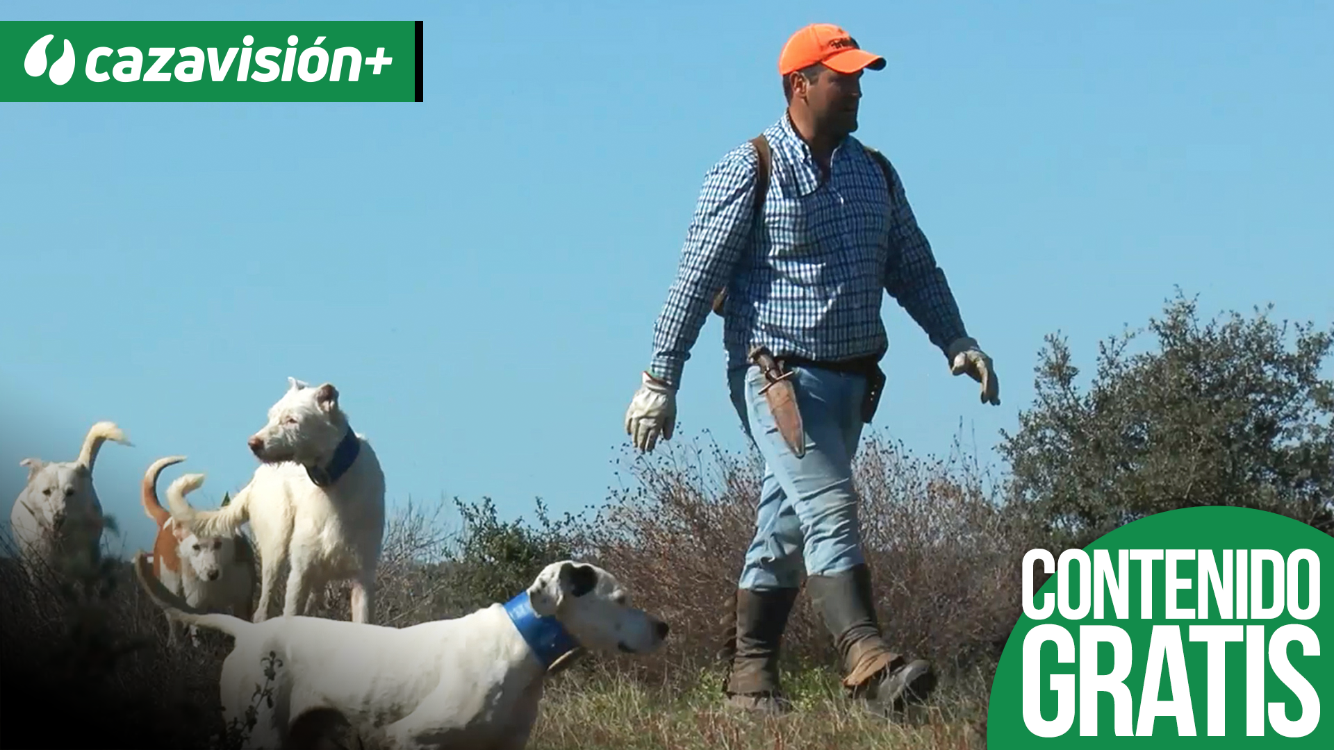 Monteando en las dehesas y montes de Portugal