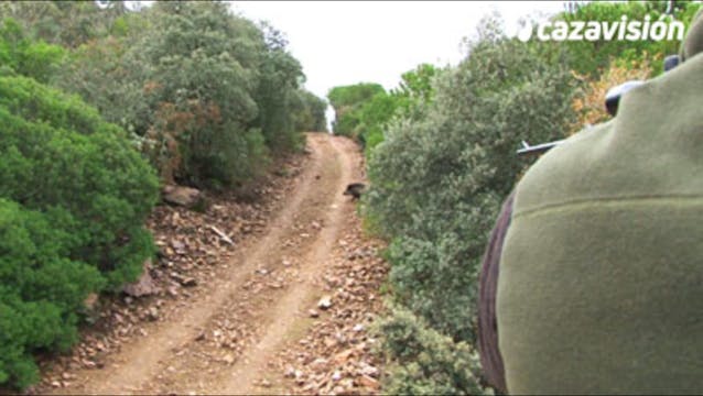 Montería en El Enebro 2017-2018