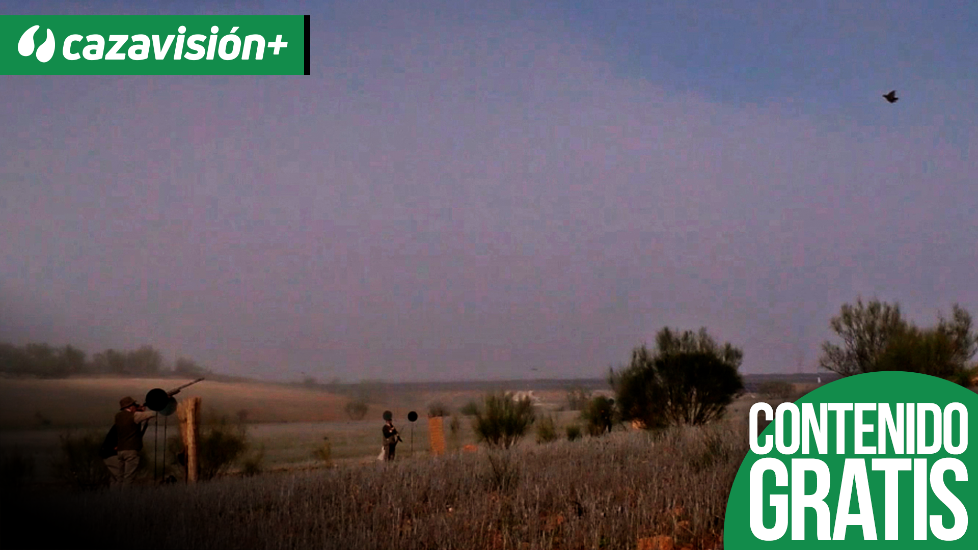 Tradicionales ojeos de perdices en los montes de Toledo