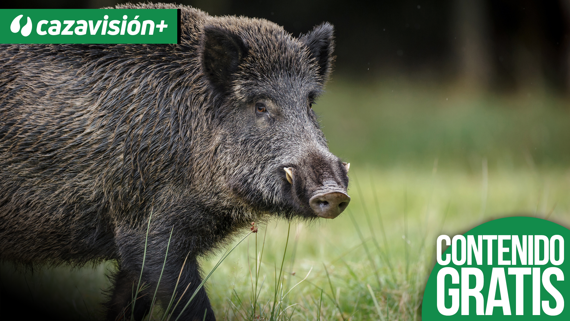 Monteando en Agrobom, una aldea portuguesa