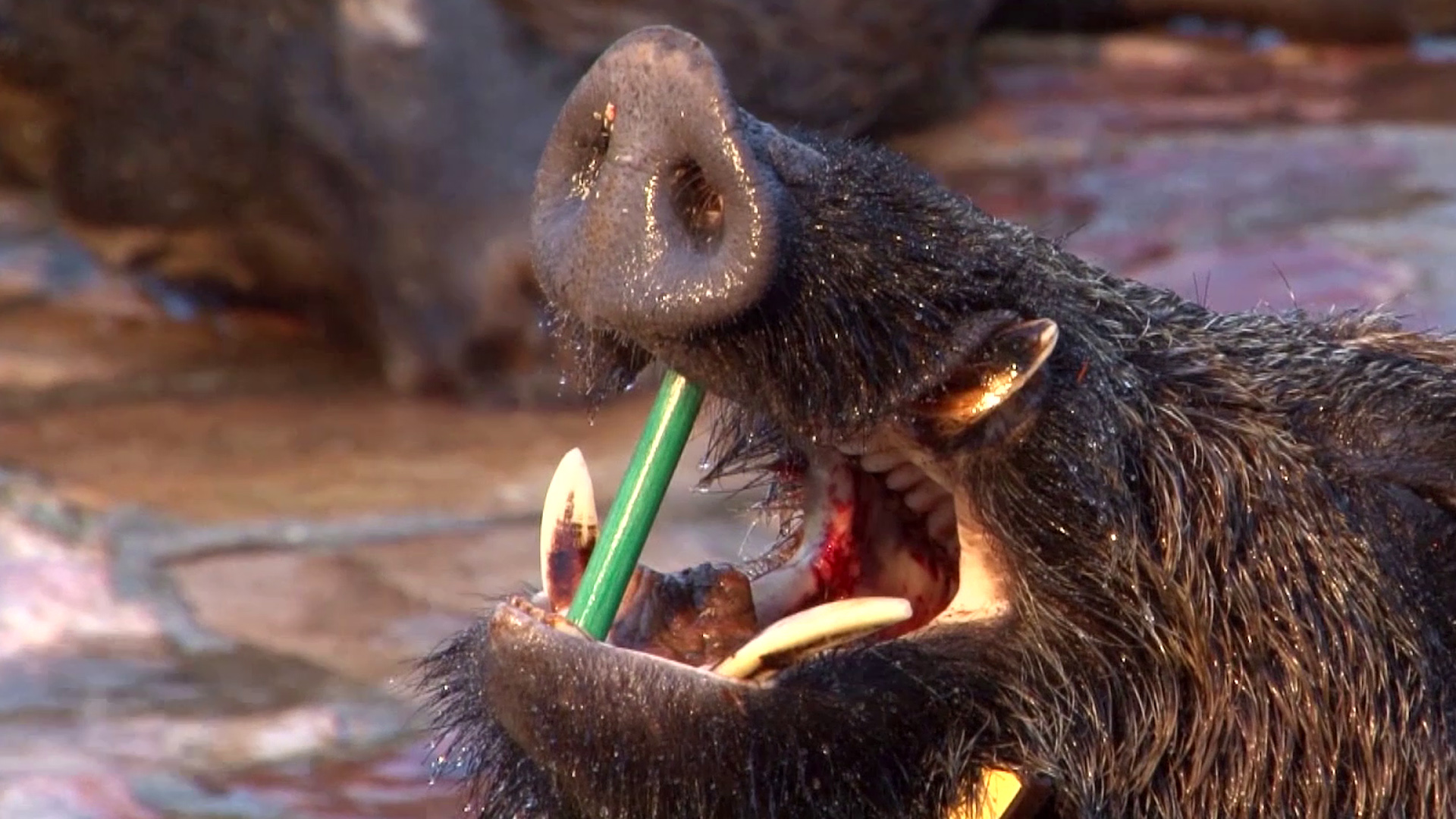 Agua, frío y viento en Valdeinfierno