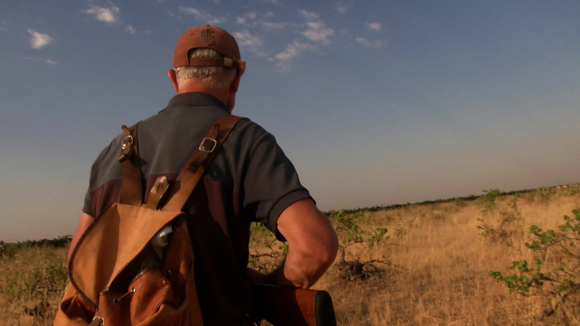 Conejos de verano con Ismael Tragacete