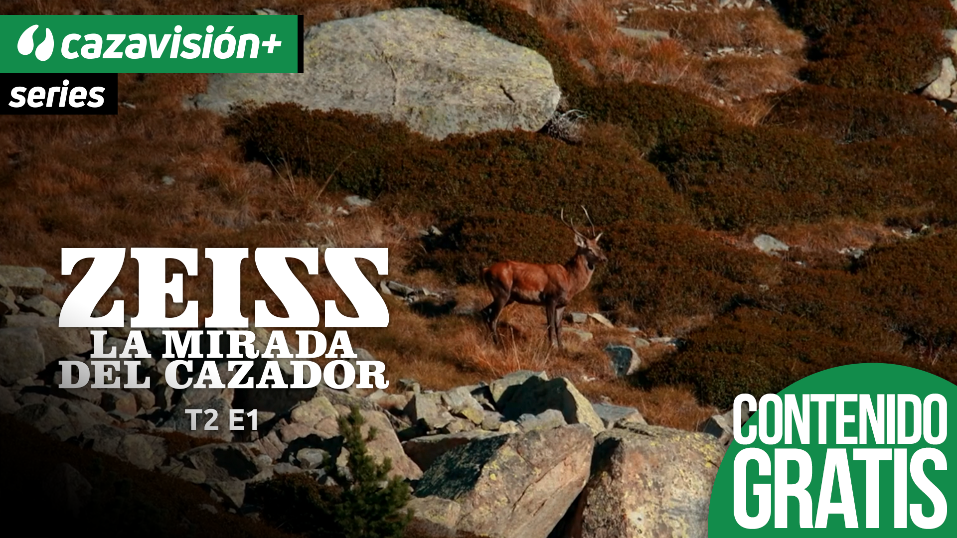 Zeiss, la mirada del cazador 2. Berrea en la niebla