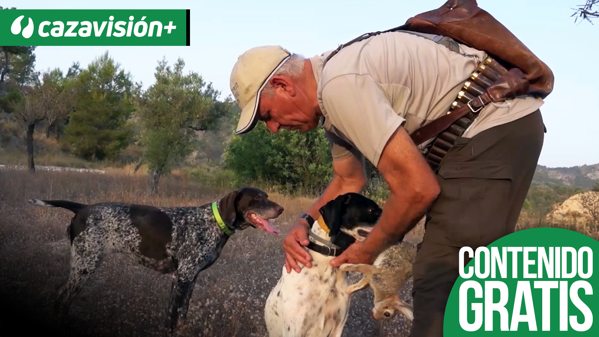 Conejos a perro puesto en Relleu