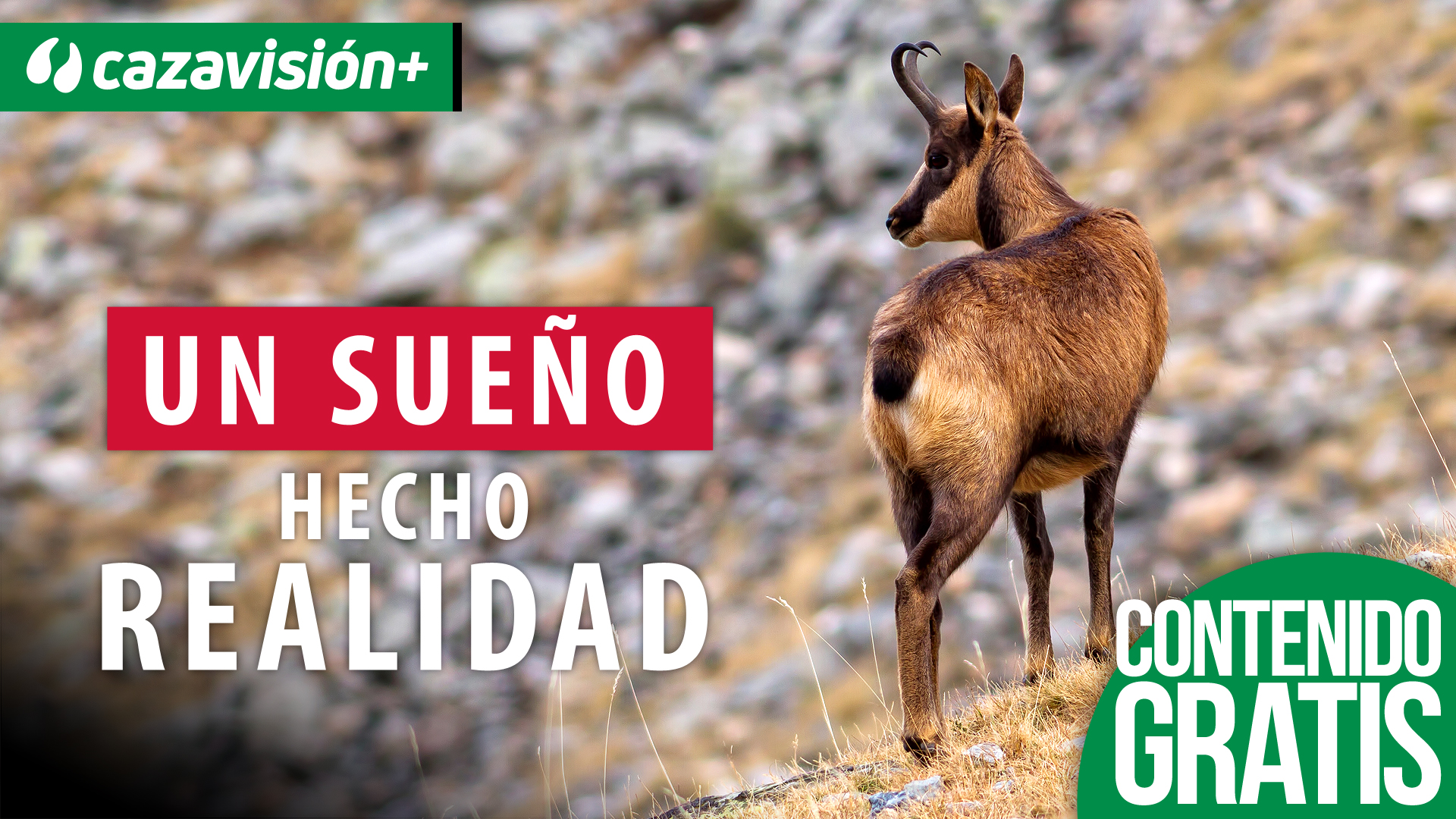 Un sueño hecho realidad